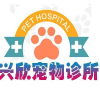 宠物医生助理（实习生）