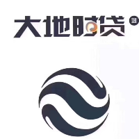 中国大地时贷险