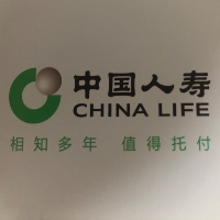中国人寿保险股份公司