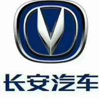 销售总监