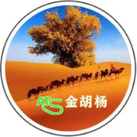 旅游销售