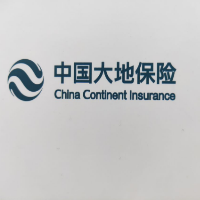 中国大地保险巴州中心支公司