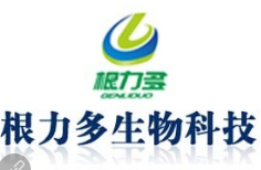 化验室主管