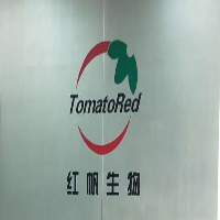 研发工程师