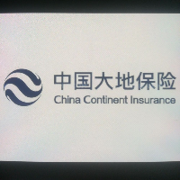 中国大地保险