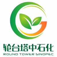 轮台塔中石油化工有限公司