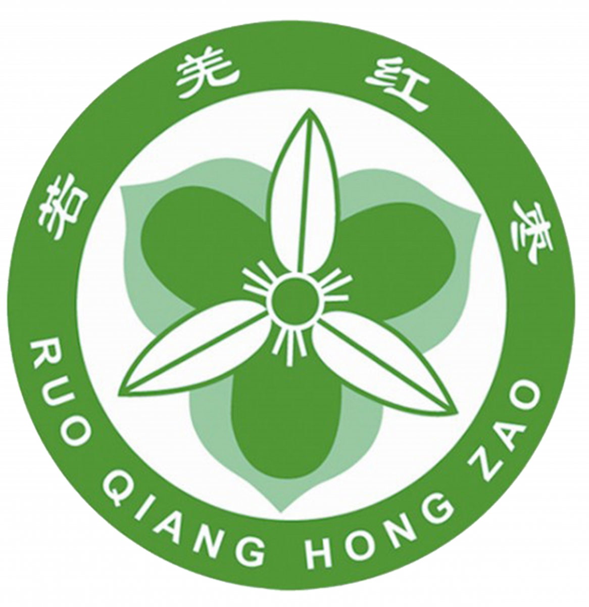若羌红枣管理协会