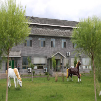 临床医师