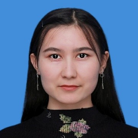 迪女士