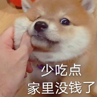 肖女士