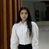 迪女士